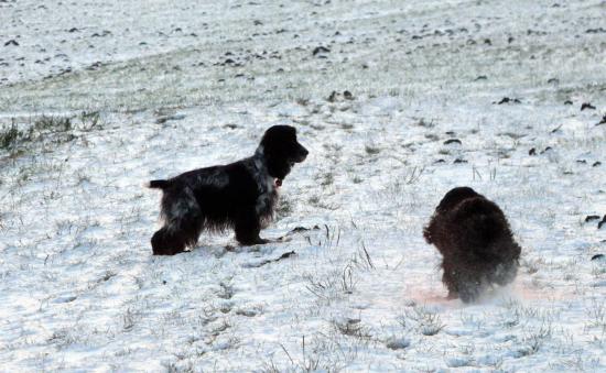 Vive la neige....!