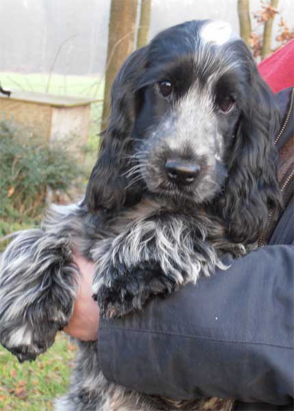 16-1-12-gwynnie.jpg