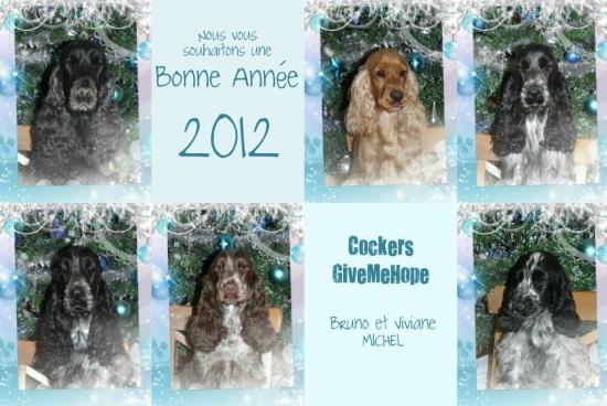 bonne-annee-2012.jpg