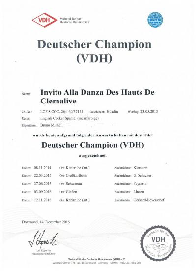 Deutscher champion vdh danza sans adresse