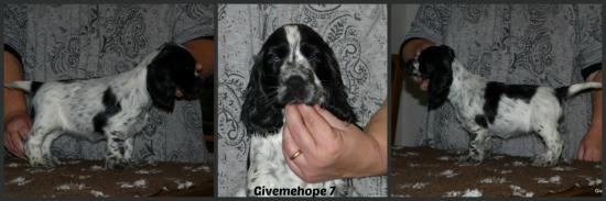 Givemehope