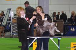 Img 4057
