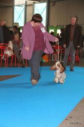 Montlucon 2014 2